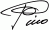 Firma Pino