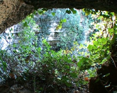 Vora 03